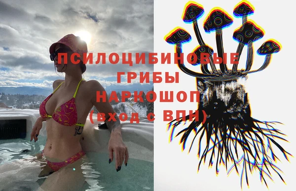 a pvp Белоозёрский