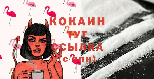 spice Богородск