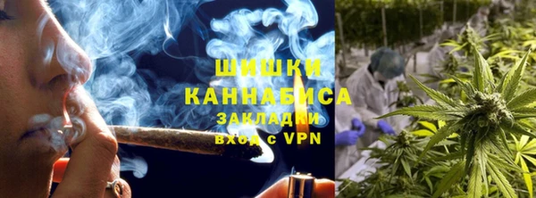ГАЛЛЮЦИНОГЕННЫЕ ГРИБЫ Балабаново